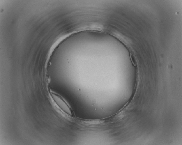 X0000076091200200610061633