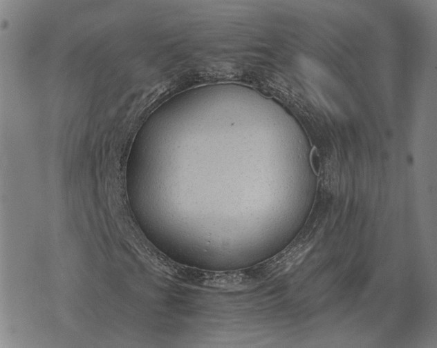 X0000076091201200610061632