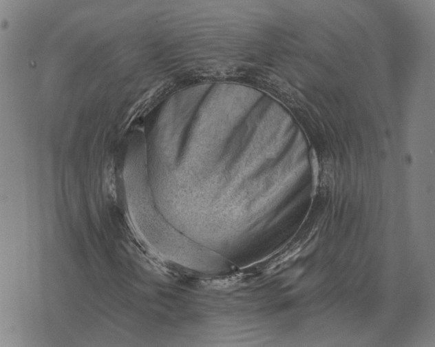 X0000076091202200610061632