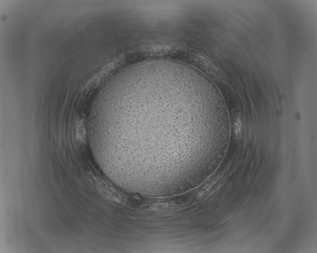 X0000076091204200610061632