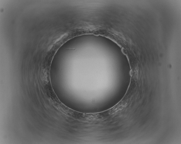 X0000076091205200610061632