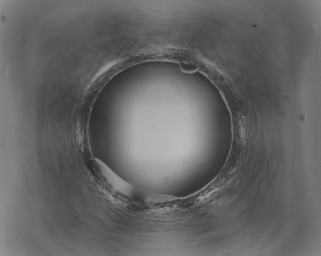 X0000076091206200610061632