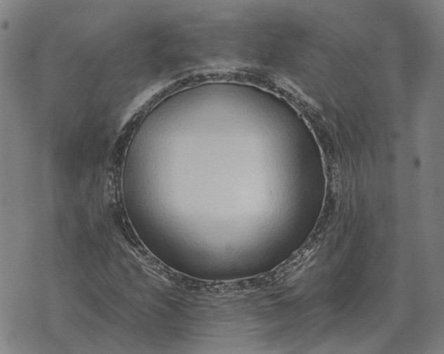 X0000076091208200610061632