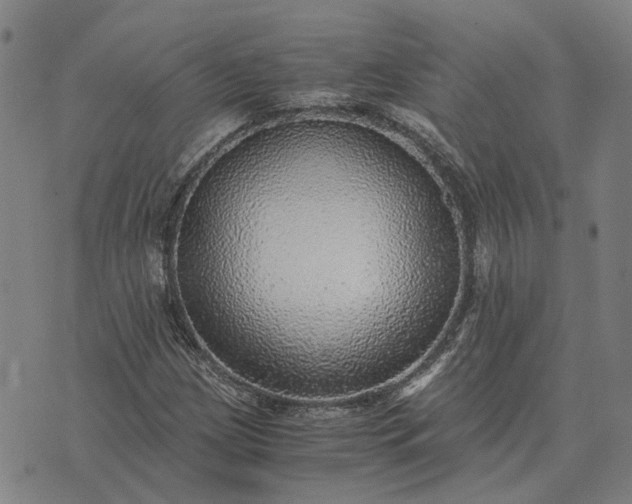 X0000076091209200610061632