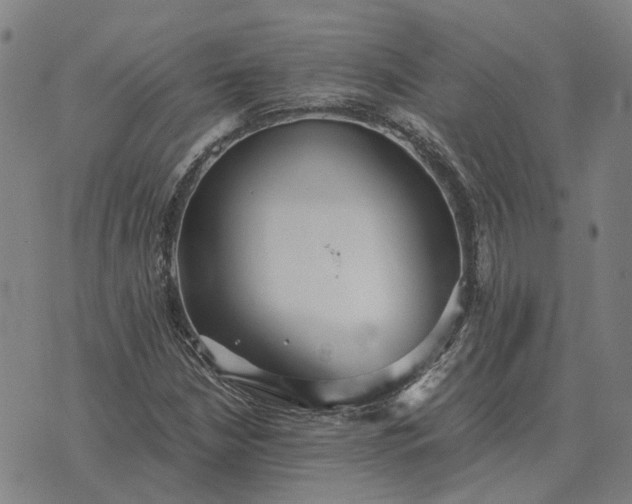 X0000076091210200610061632