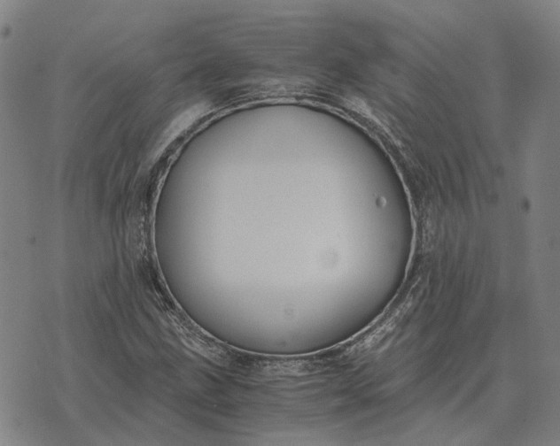 X0000076091211200610061632