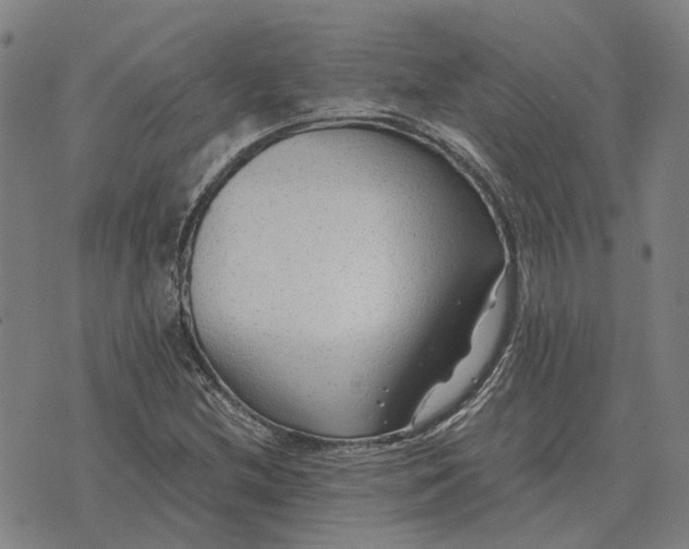 X0000076091212200610061632