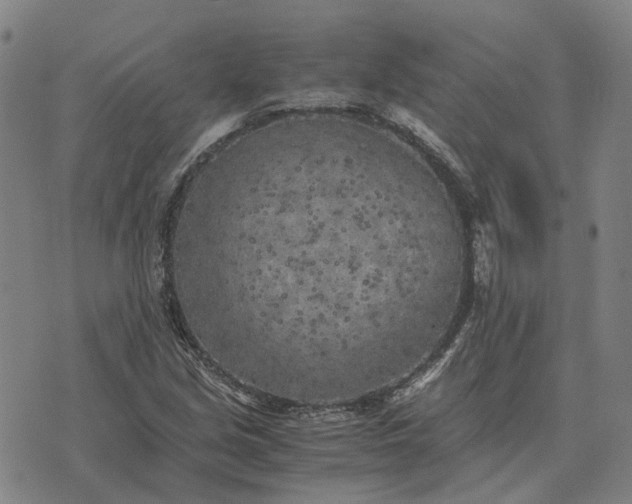 X0000076091213200610061632