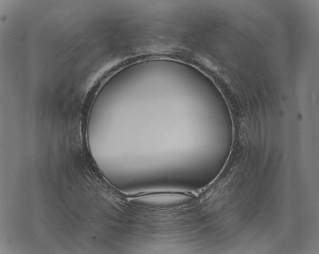 X0000076091214200610061632