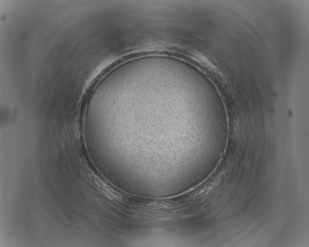 X0000076091216200610061633