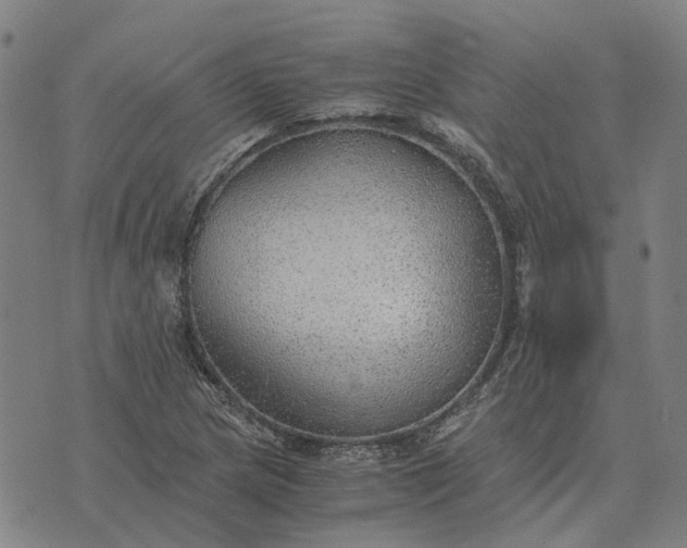 X0000076091217200610061633