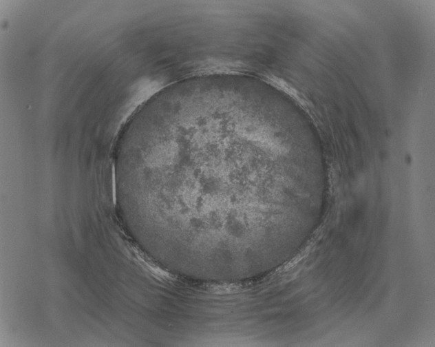 X0000076091219200610061633