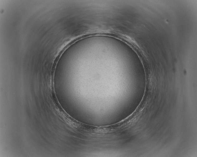 X0000076091220200610061633