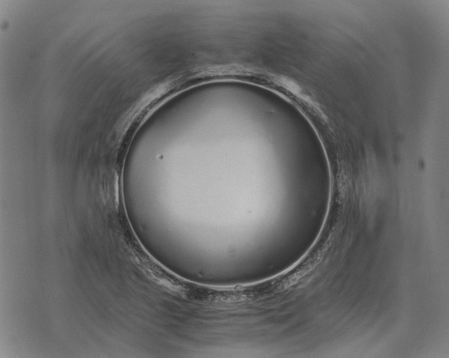 X0000076091221200610061633