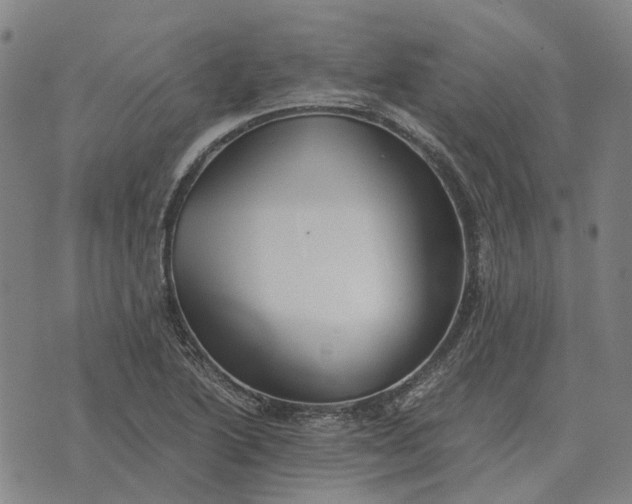 X0000076091222200610061633