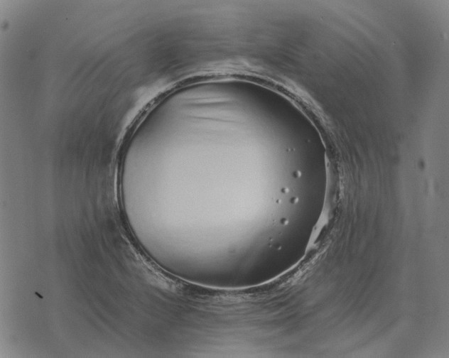 X0000076091224200610061633