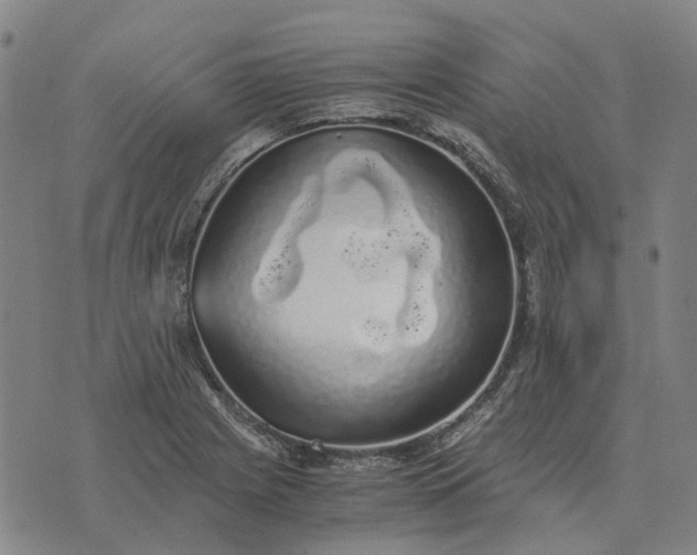 X0000076091225200610061633