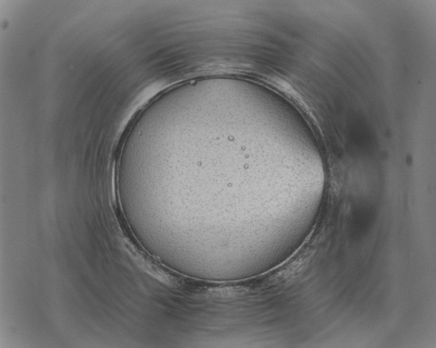 X0000076091227200610061633