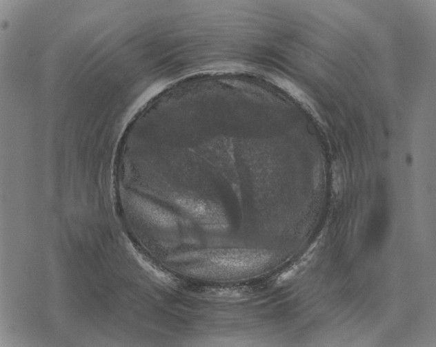 X0000076091229200610061633