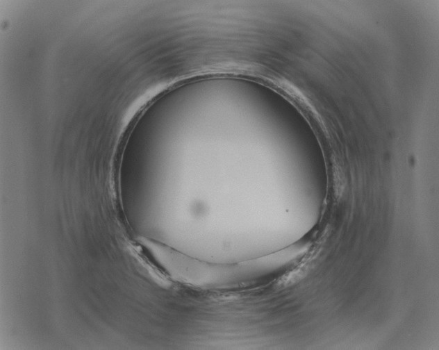 X0000076091230200610061633