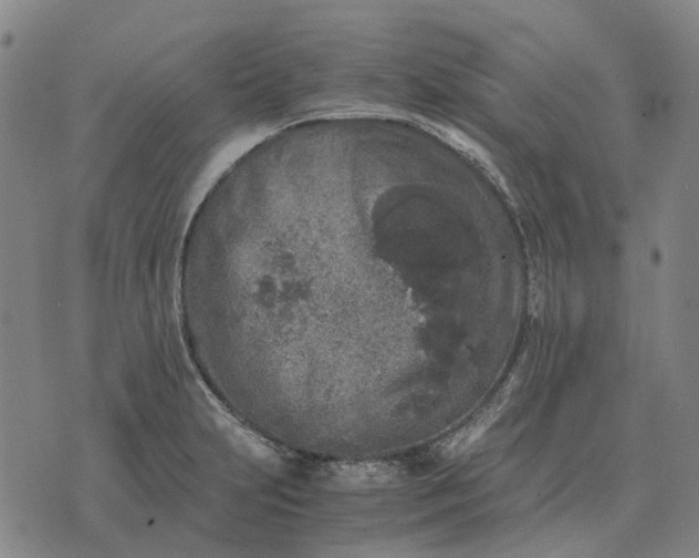 X0000076091231200610061633