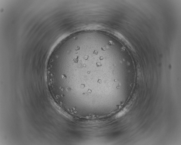 X0000076091232200610061633