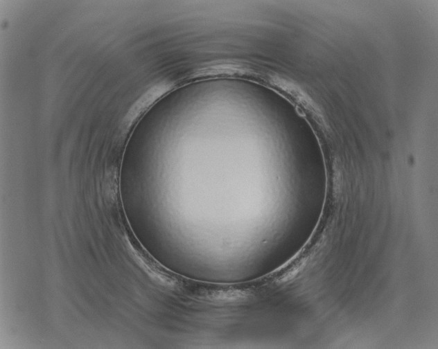 X0000076091233200610061633