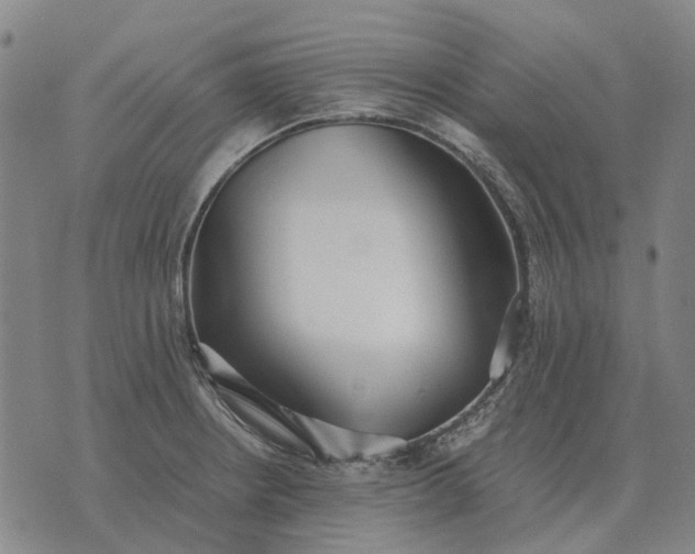 X0000076091234200610061633