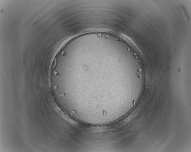 X0000076091236200610061633