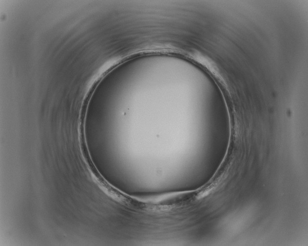 X0000076091237200610061633