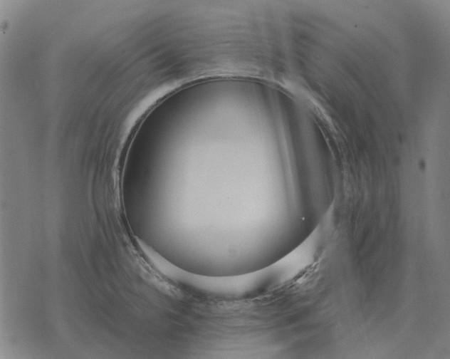 X0000076091238200610061633