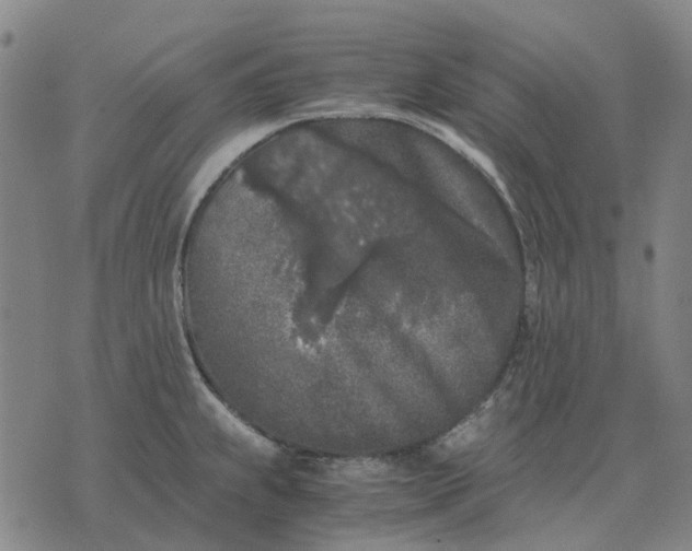 X0000076091239200610061633