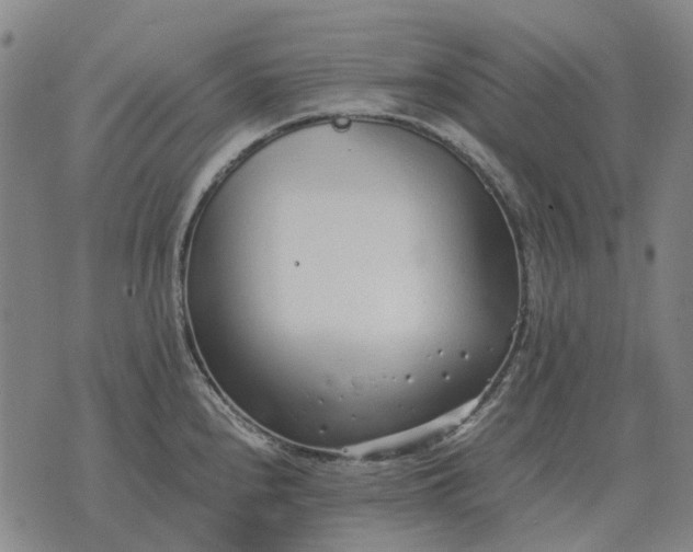 X0000076091240200610061633