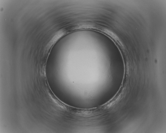 X0000076091241200610061633