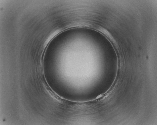 X0000076091242200610061633