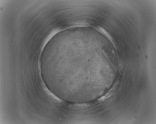 X0000076091243200610061633