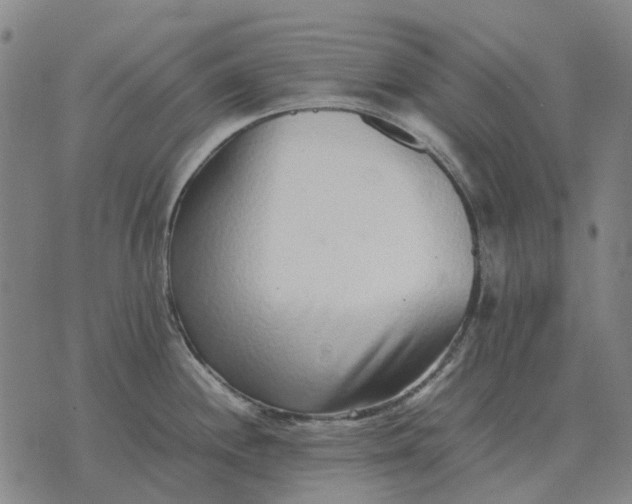 X0000076091244200610061633