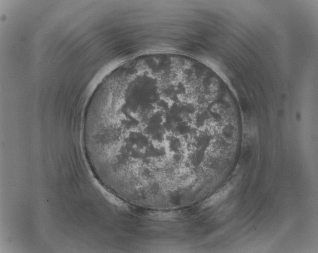 X0000076091245200610061633