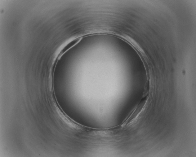 X0000076091246200610061633