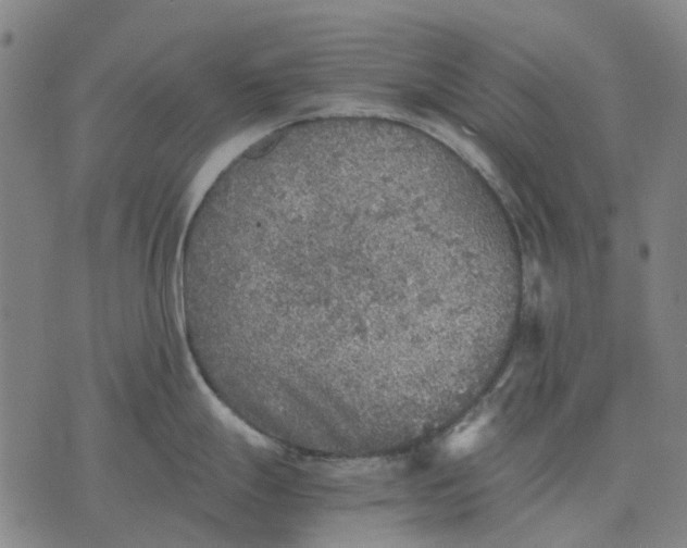 X0000076091247200610061633