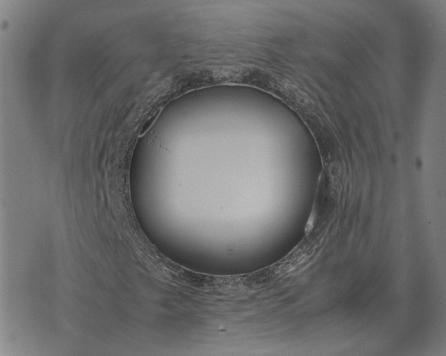 X0000076091249200610061632