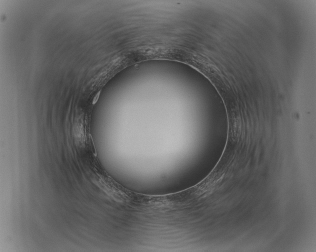 X0000076091250200610061632