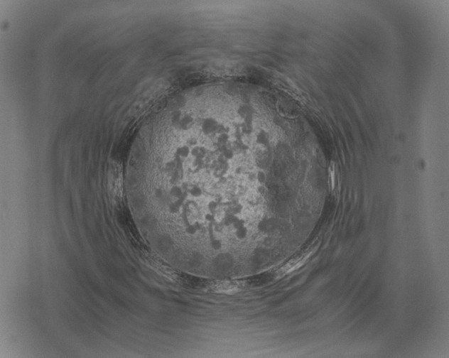 X0000076091251200610061632