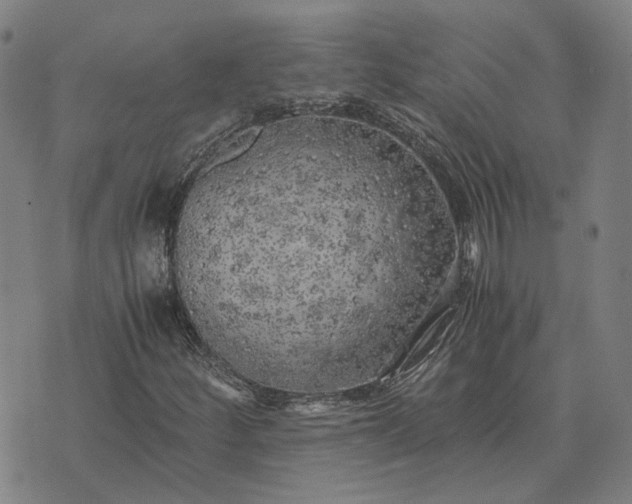 X0000076091252200610061632