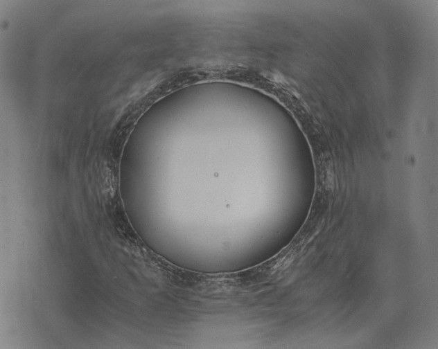 X0000076091253200610061632