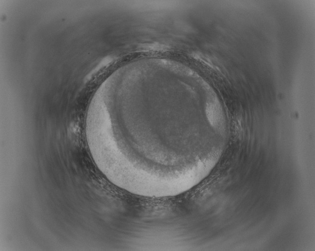 X0000076091254200610061632