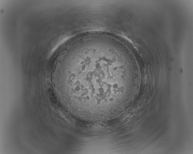 X0000076091255200610061632