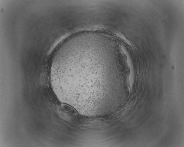 X0000076091256200610061632