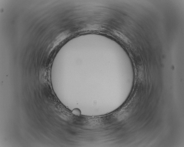 X0000076091258200610061632