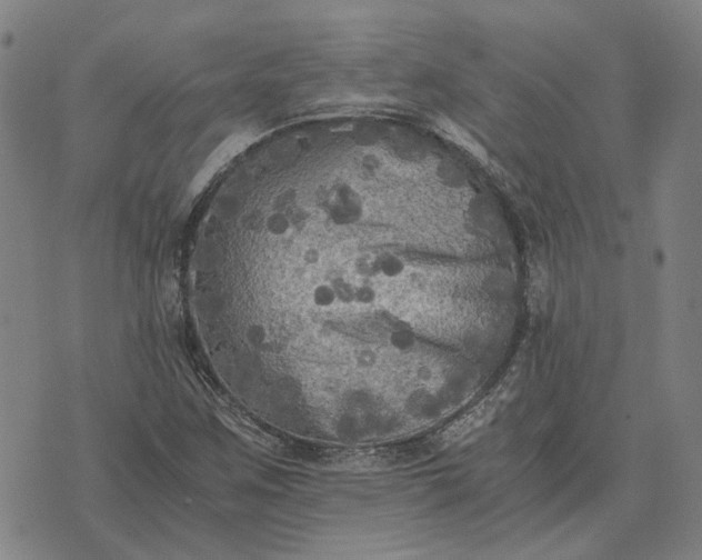 X0000076091259200610061632